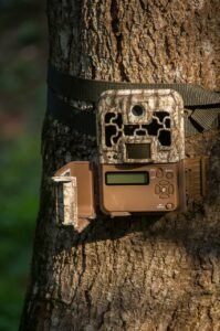 camera, trail camera, wildlife camera, motion detection, automatic, camouflage, nature, covert, forest, trees